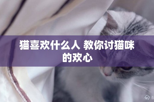 貓喜歡什么人 教你討貓咪的歡心