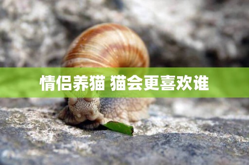 情侶養貓 貓會更喜歡誰