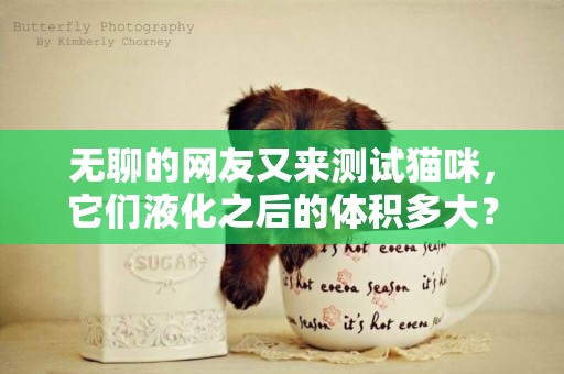 無聊的網友又來測試貓咪，它們液化之后的體積多大？貓：我太難了 