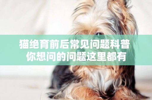 貓絕育前后常見問題科普 你想問的問題這里都有