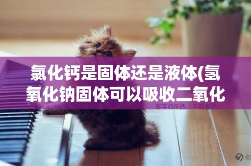 氯化鈣是固體還是液體(氫氧化鈉固體可以吸收二氧化碳嗎) 