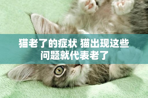 貓老了的癥狀 貓出現這些問題就代表老了