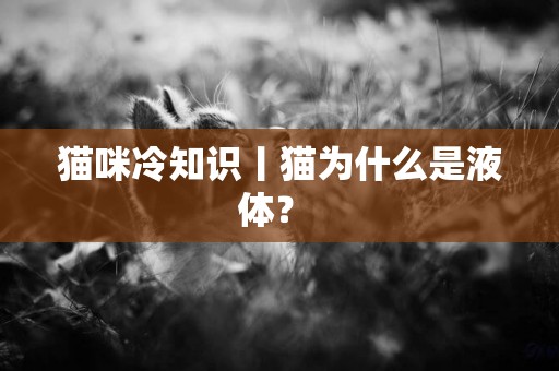 貓咪冷知識丨貓為什么是液體？ 