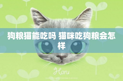 狗糧貓能吃嗎 貓咪吃狗糧會怎樣