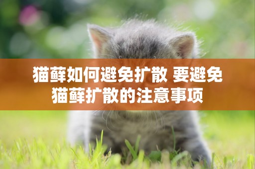 貓蘚如何避免擴散 要避免貓蘚擴散的注意事項 貓蘚如何避免擴散 要避免貓蘚擴散的注意事項