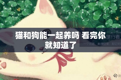 貓和狗能一起養嗎 看完你就知道了