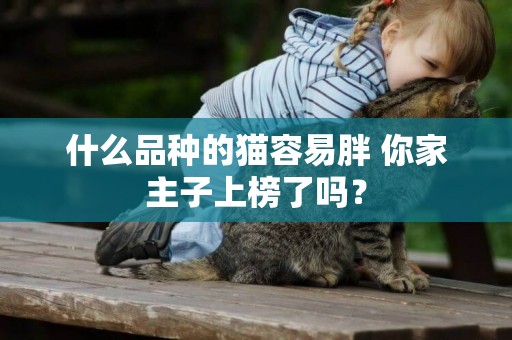 什么品種的貓容易胖 你家主子上榜了嗎？