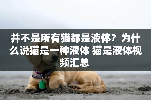 并不是所有貓都是液體？為什么說貓是一種液體 貓是液體視頻匯總 
