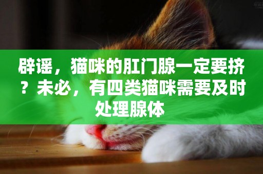 辟謠，貓咪的肛門腺一定要擠？未必，有四類貓咪需要及時處理腺體 