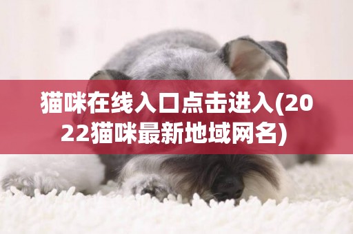 貓咪在線入口點擊進入(2022貓咪最新地域網名) 