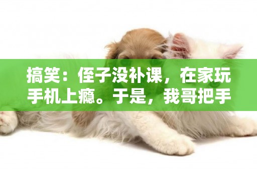 搞笑：侄子沒補課，在家玩手機上癮。于是，我哥把手機鎖到柜子里 