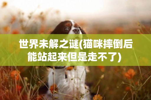 世界未解之謎(貓咪摔倒后能站起來但是走不了) 