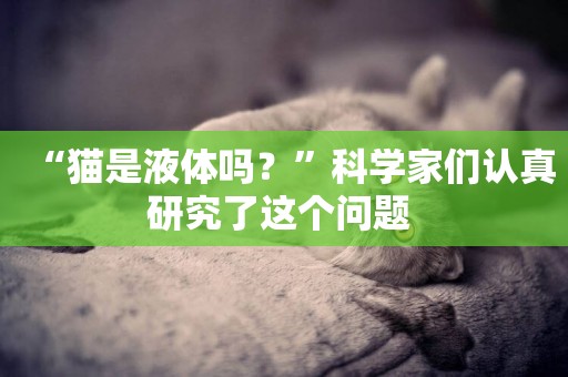 “貓是液體嗎？”科學家們認真研究了這個問題 