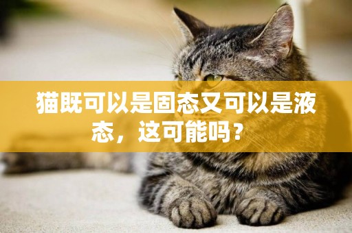 貓既可以是固態又可以是液態，這可能嗎？ 