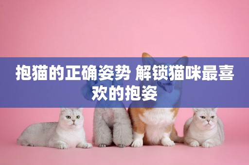 抱貓的正確姿勢 解鎖貓咪最喜歡的抱姿