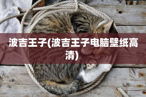 波吉王子(波吉王子電腦壁紙高清) 