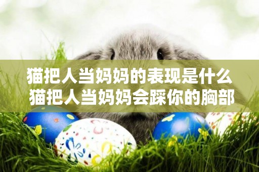 貓把人當媽媽的表現是什么 貓把人當媽媽會踩你的胸部 貓把人當媽媽的表現是什么 貓把人當媽媽會踩你的胸部