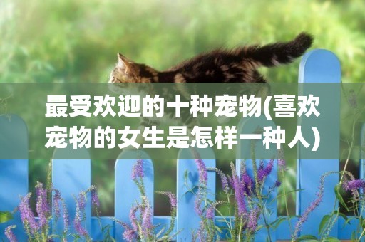 最受歡迎的十種寵物(喜歡寵物的女生是怎樣一種人) 