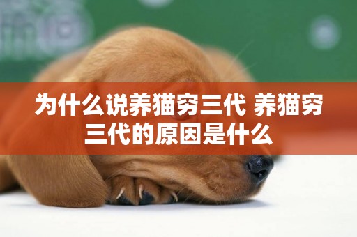 為什么說養貓窮三代 養貓窮三代的原因是什么 為什么說養貓窮三代 養貓窮三代的原因是什么