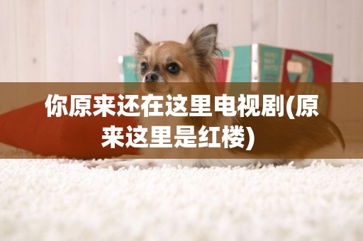 你原來還在這里電視劇(原來這里是紅樓) 