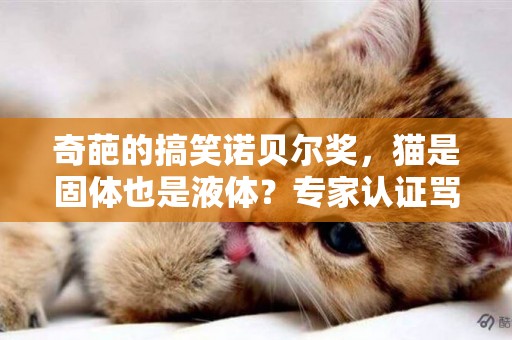 奇葩的搞笑諾貝爾獎，貓是固體也是液體？專家認證罵人可以止痛？ 