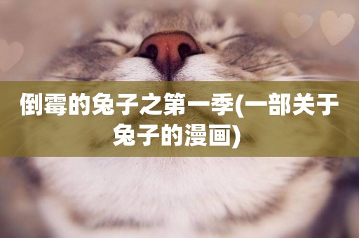 倒霉的兔子之第一季(一部關于兔子的漫畫) 