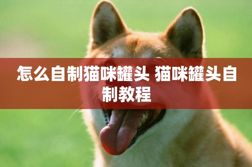 怎么自制貓咪罐頭 貓咪罐頭自制教程