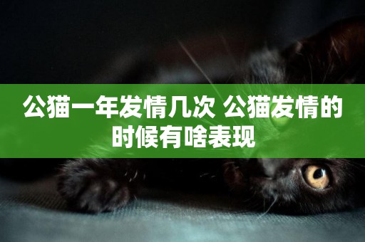 公貓一年發情幾次 公貓發情的時候有啥表現 公貓一年發情幾次 公貓發情的時候有啥表現