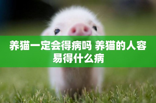 養貓一定會得病嗎 養貓的人容易得什么病