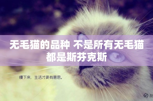 無毛貓的品種 不是所有無毛貓都是斯芬克斯