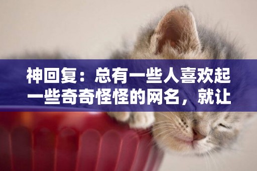 神回復：總有一些人喜歡起一些奇奇怪怪的網名，就讓人很尷尬 