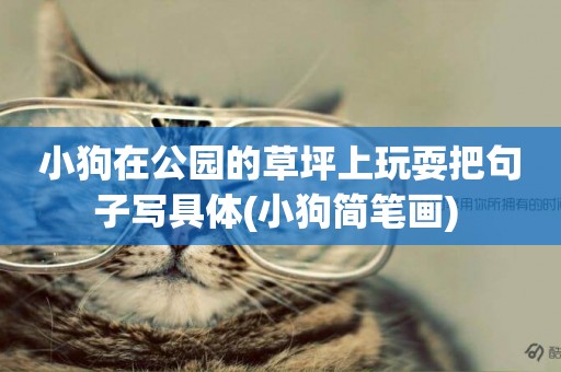 小狗在公園的草坪上玩耍把句子寫具體(小狗簡筆畫) 