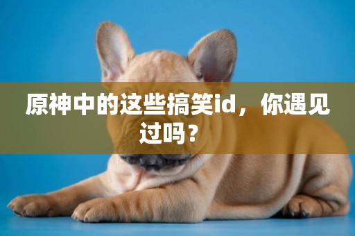 原神中的這些搞笑id，你遇見過嗎？ 