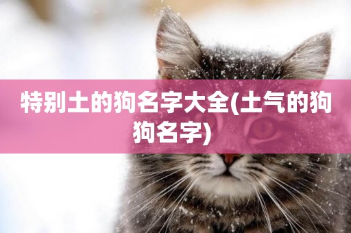 特別土的狗名字大全(土氣的狗狗名字) 