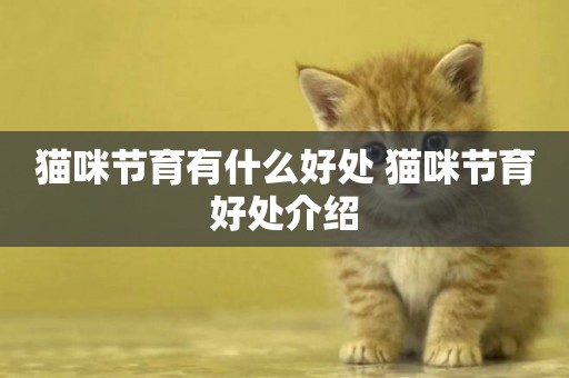 貓咪節育有什么好處 貓咪節育好處介紹