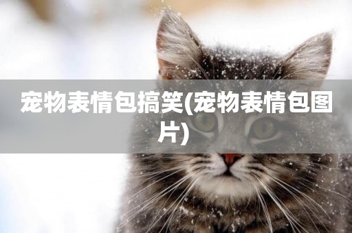 寵物表情包搞笑(寵物表情包圖片) 