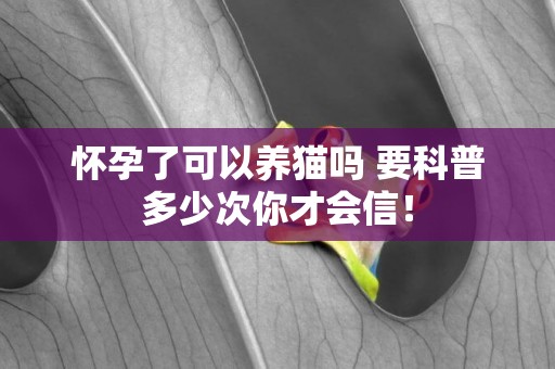 懷孕了可以養貓嗎 要科普多少次你才會信！