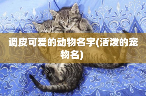 調皮可愛的動物名字(活潑的寵物名) 