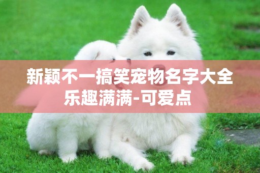 新穎不一搞笑寵物名字大全樂趣滿滿-可愛點 