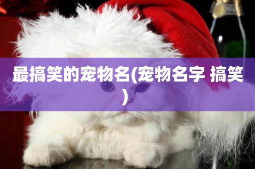 最搞笑的寵物名(寵物名字 搞笑) 