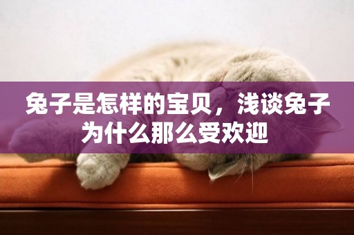 兔子是怎樣的寶貝，淺談兔子為什么那么受歡迎 
