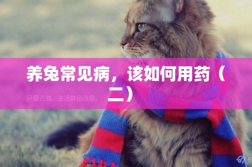 養兔常見病，該如何用藥（二） 