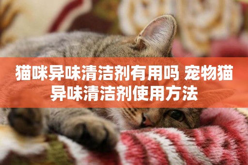 貓咪異味清潔劑有用嗎 寵物貓異味清潔劑使用方法
