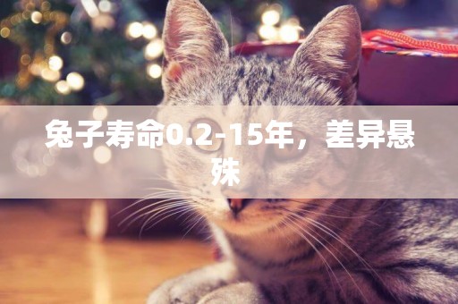 兔子壽命0.2-15年，差異懸殊 