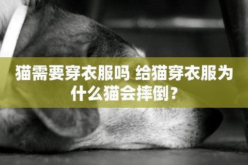 貓需要穿衣服嗎 給貓穿衣服為什么貓會摔倒？
