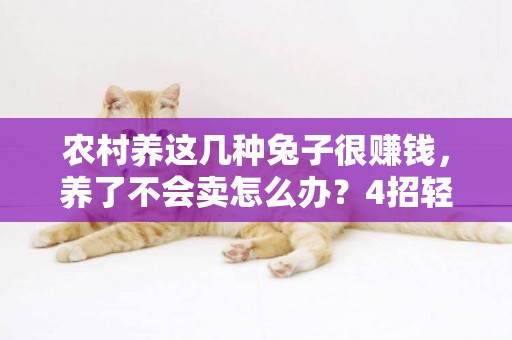 農村養這幾種兔子很賺錢，養了不會賣怎么辦？4招輕松把兔子賣出去 