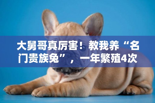 大舅哥真厲害！教我養“名門貴族兔”，一年繁殖4次，年入12萬 