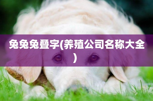 兔兔兔疊字(養殖公司名稱大全) 