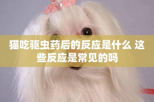 貓吃驅蟲藥后的反應是什么 這些反應是常見的嗎