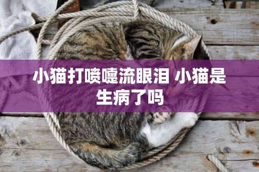小貓打噴嚏流眼淚 小貓是生病了嗎